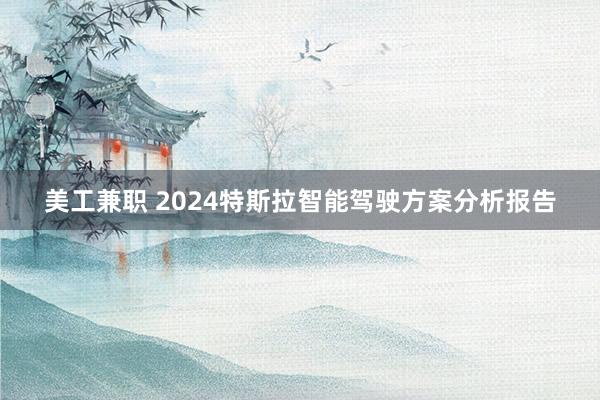 美工兼职 2024特斯拉智能驾驶方案分析报告