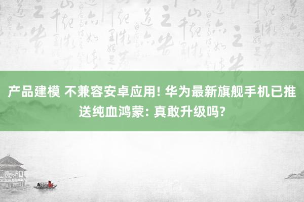 产品建模 不兼容安卓应用! 华为最新旗舰手机已推送纯血鸿蒙: 真敢升级吗?