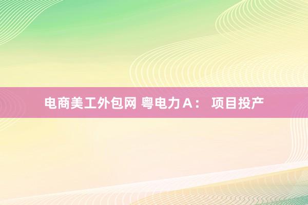 电商美工外包网 粤电力Ａ： 项目投产